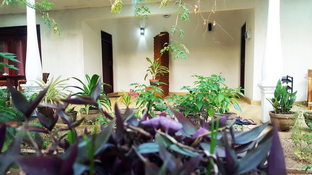 Kassapa Home Stay سيغيرِيا المظهر الخارجي الصورة