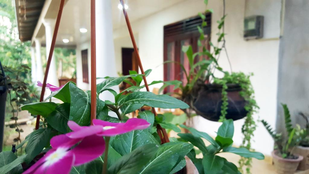 Kassapa Home Stay سيغيرِيا المظهر الخارجي الصورة